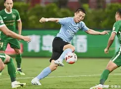 包含拜仁后卫神勇救险，助球队成功保级，加入决定安全进入.的词条