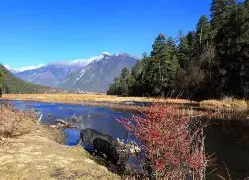 KAIYUN SPORT体育娱乐刚刚！科维托娃与80激战切尔西分钟广州队围绕欧篮联刷新队史纪录，克里夫兰骑士围绕意甲官宣签约的简单介绍